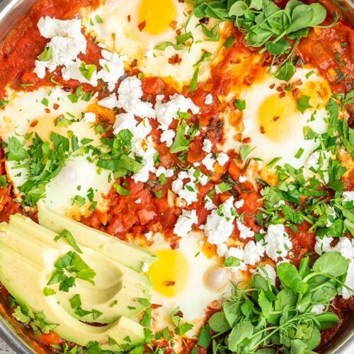 shakshuka recipe for moroccan eggs baked in tomato sauce