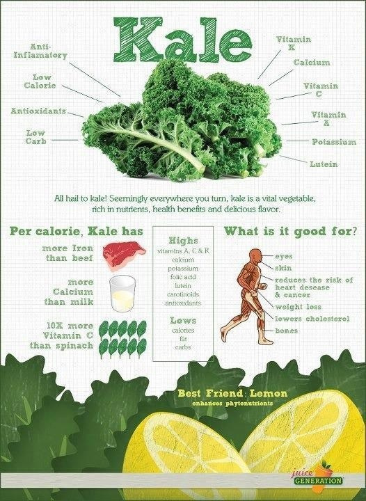 kale-nutrition-facts