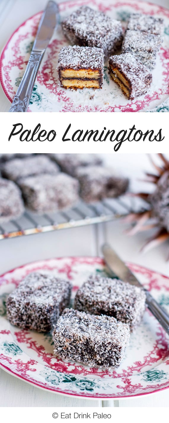 Paleo Lamingtons - Gluten-free & Dairy-free Recipe