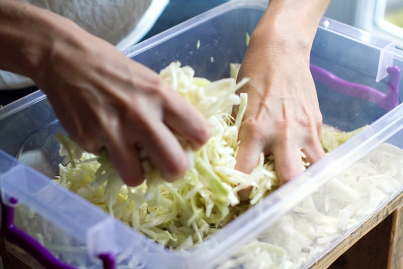 How to make sauerkraut step 2 - squeezing the cabbage