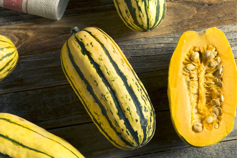 Delicata Squash