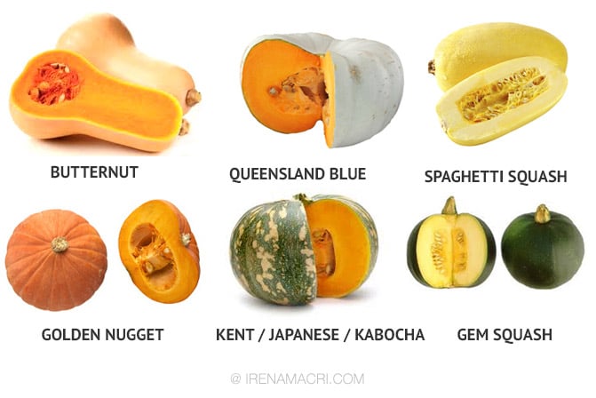 Pumpkin Types & Varieties