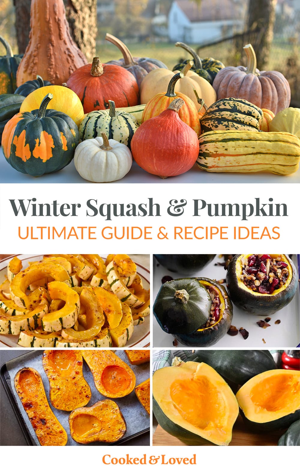 Types of Squash & Pumpkin With Recipes