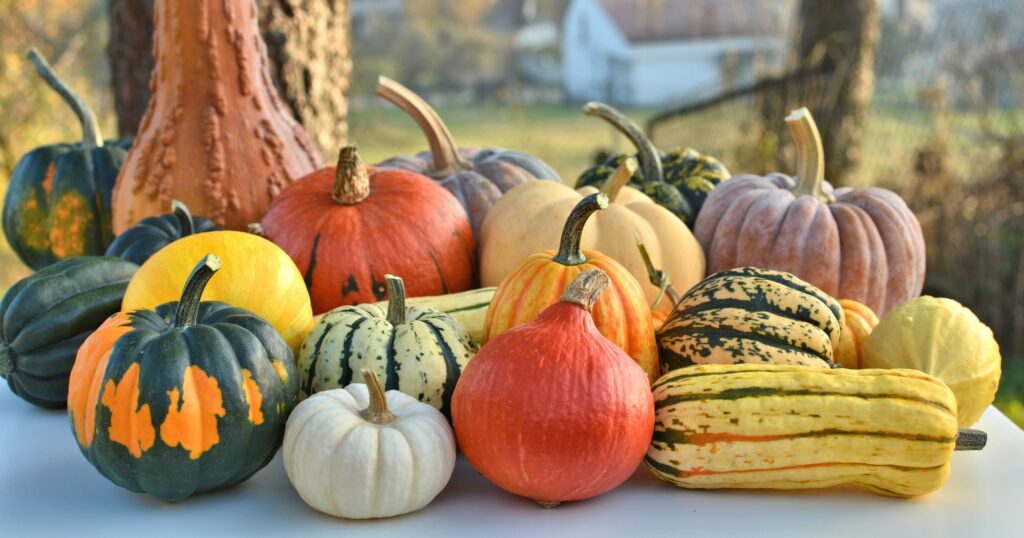 Winter Squash Varieties & Types Of Pumpkin