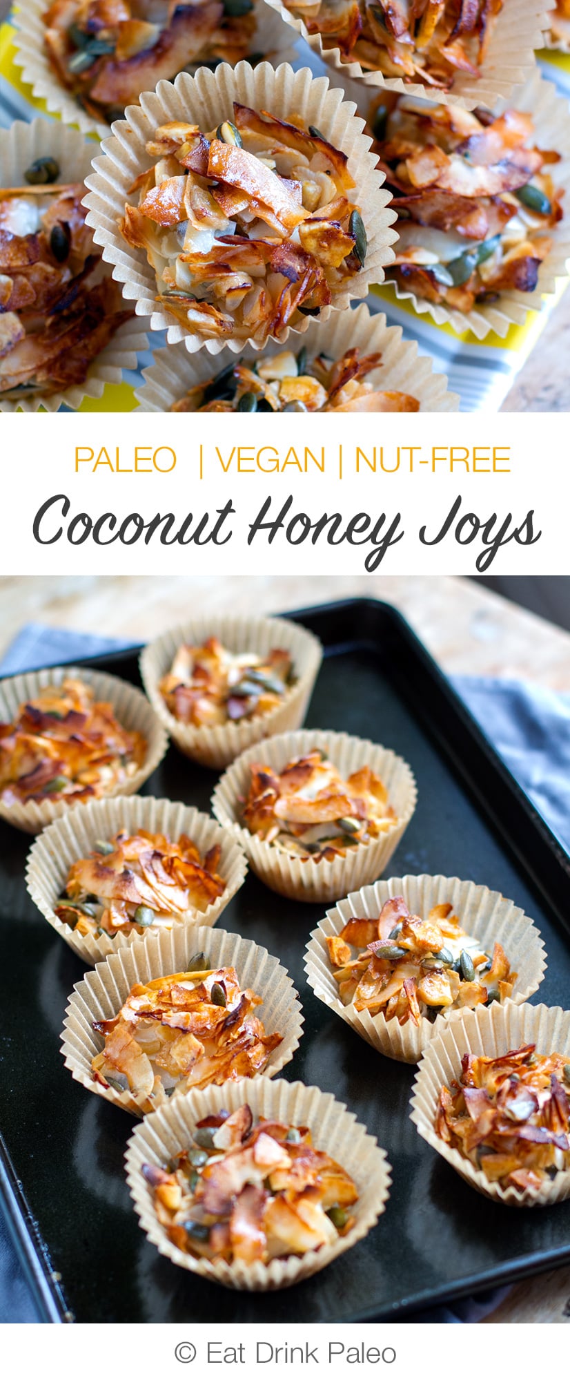 Coconut Honey Joys (Paleo, Vegan, Gluten-Free, Nut-Free, Corn-Free)