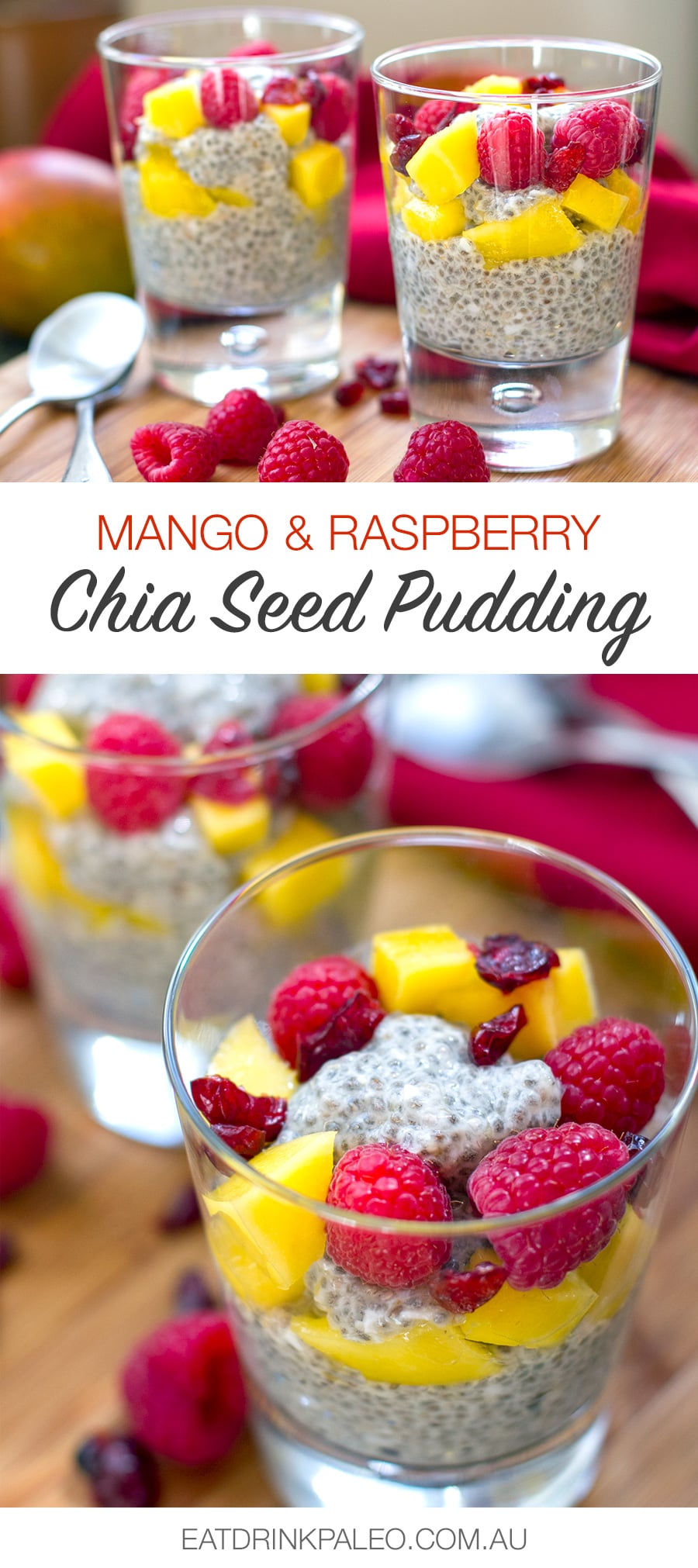 Coconut Mango Chia Seed Pudding (Gluten-free, Paleo, Primal, Dairy-free)