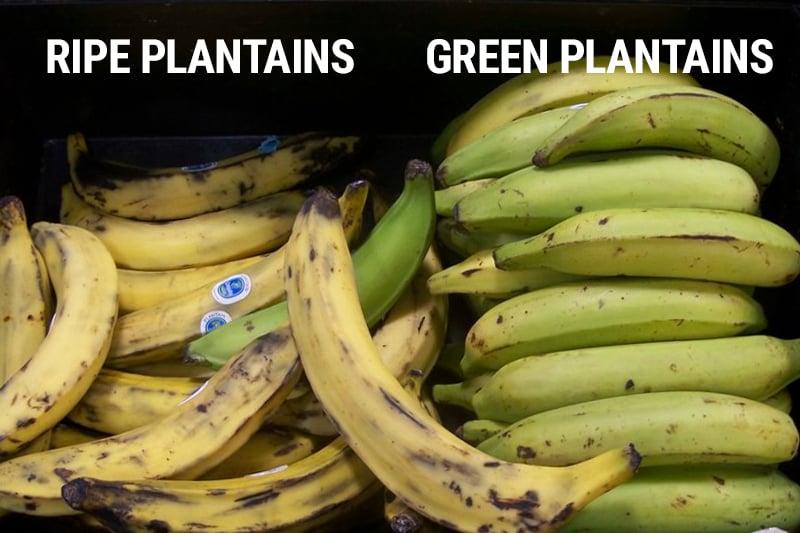 Green Plantains Vs Ripe Plantains