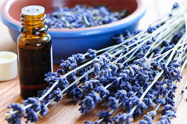 lavender-essential-oil-benefits