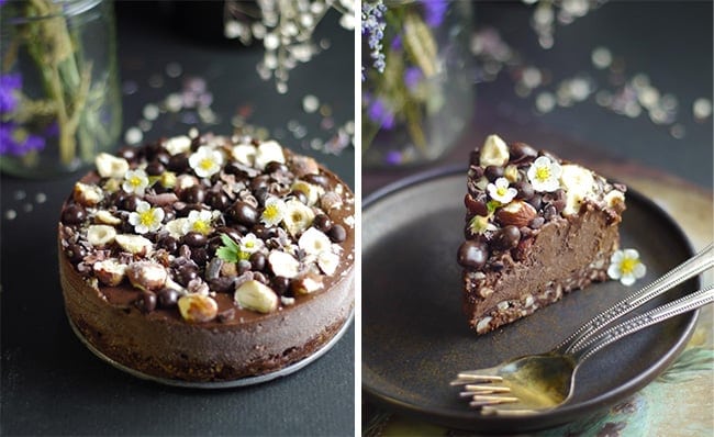 Raw paleo chocolate hazelnut cheesecake