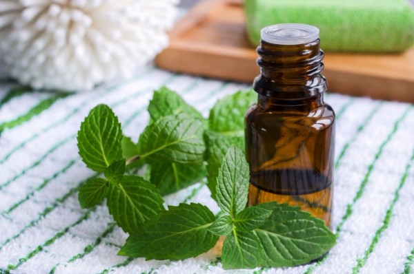 peppermint-oil