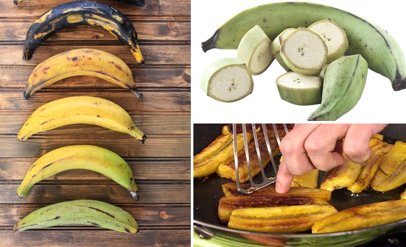What are plantains? Plus, 15 Plantain Recipes Paleo
