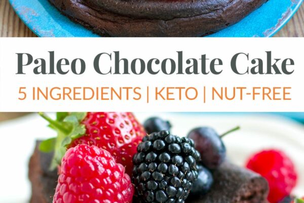 Paleo Chocolate Cake Recipe (5 Ingredients, Nut-Free, Keto)