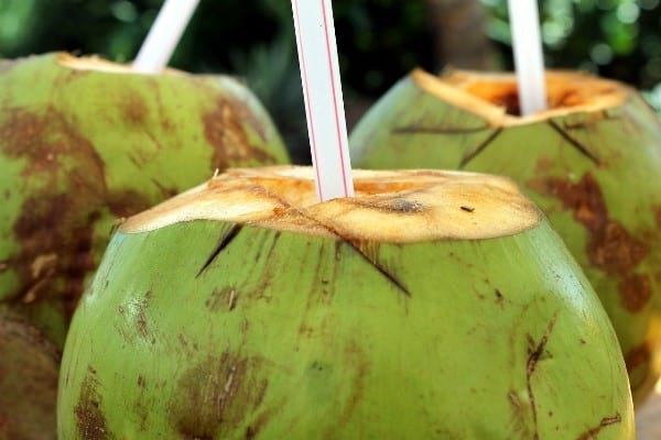 What to eat when you have the stomach flu: coconut water