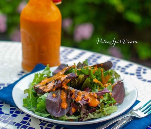 Paleo French salad dressing