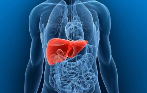 health-benefits-liver-3 (1)