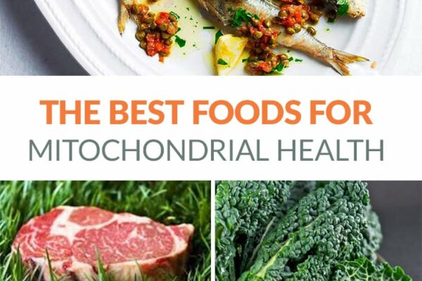The best foods for mitochondria health