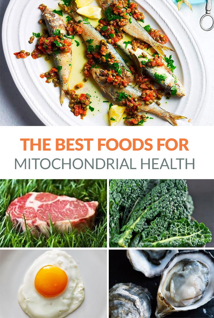 The best foods for mitochondria health
