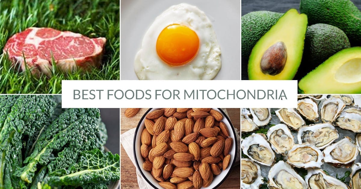 The Best Foods For Mitochondria Health