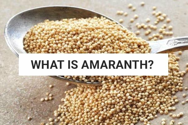 what-is-amaranth-paleo-diet