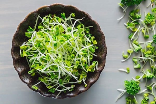 Broccoli sprouts nutrition