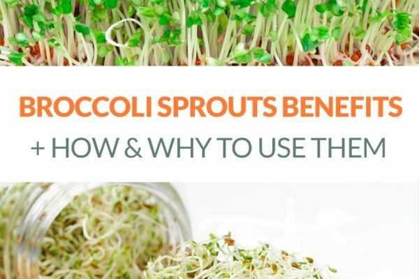 The Amazing Broccoli Sprouts Benefits & How To Use Them