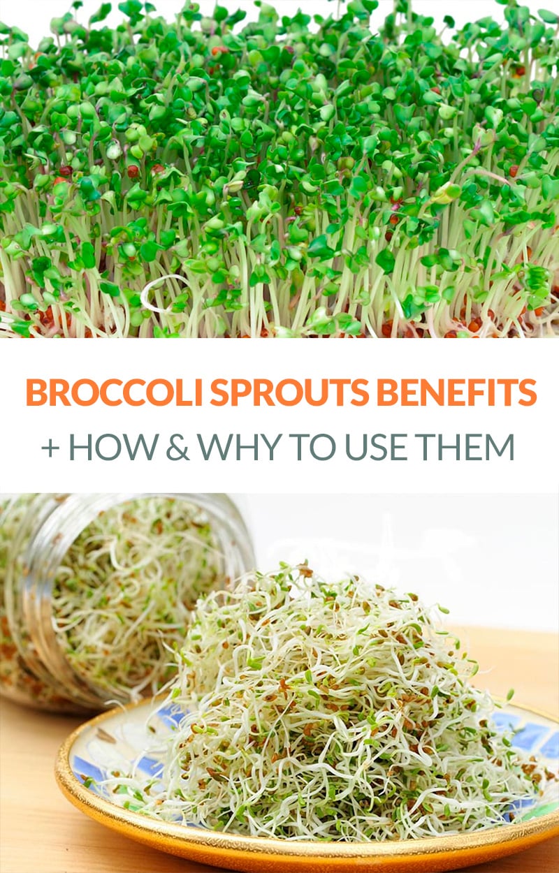 Broccoli Sprouts Benefits & How To Use Them