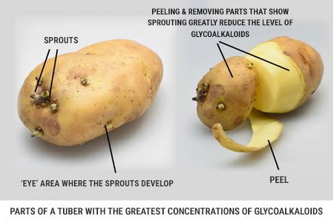 Glycoalkaloids in potatoes in skin