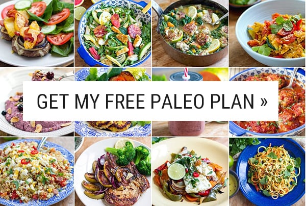 Free Paleo Diet Plan