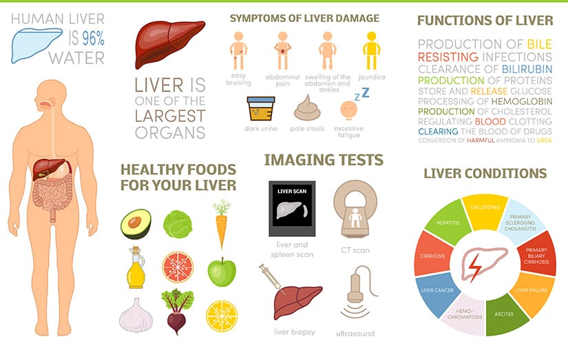 Liver detoxification plans