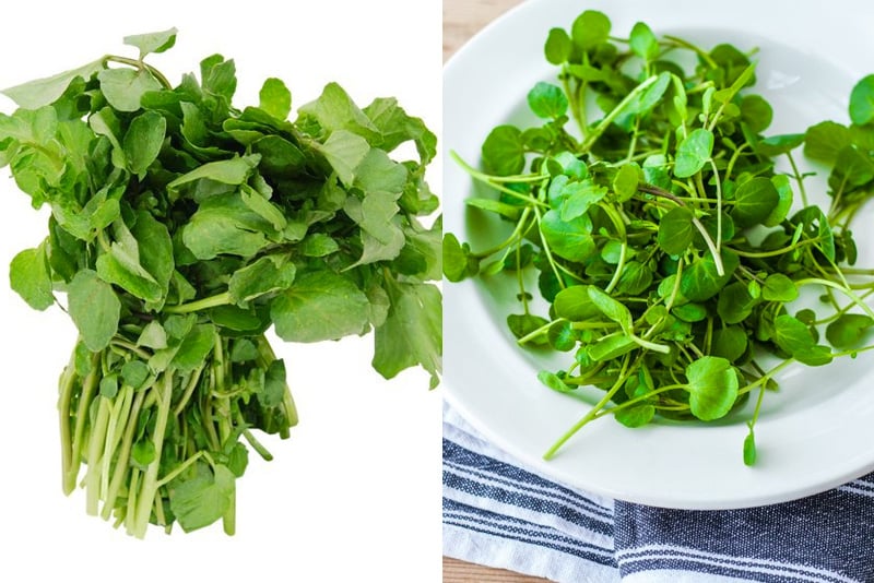 What is watercress and what it tastes like