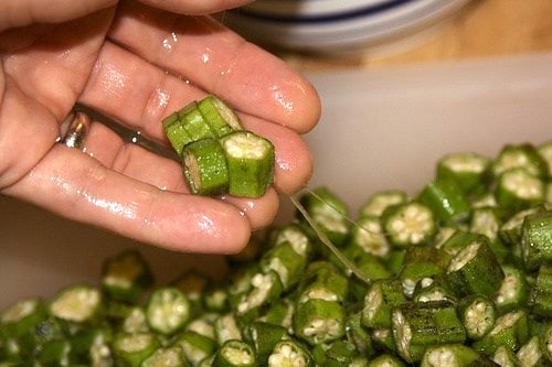 Okra slime