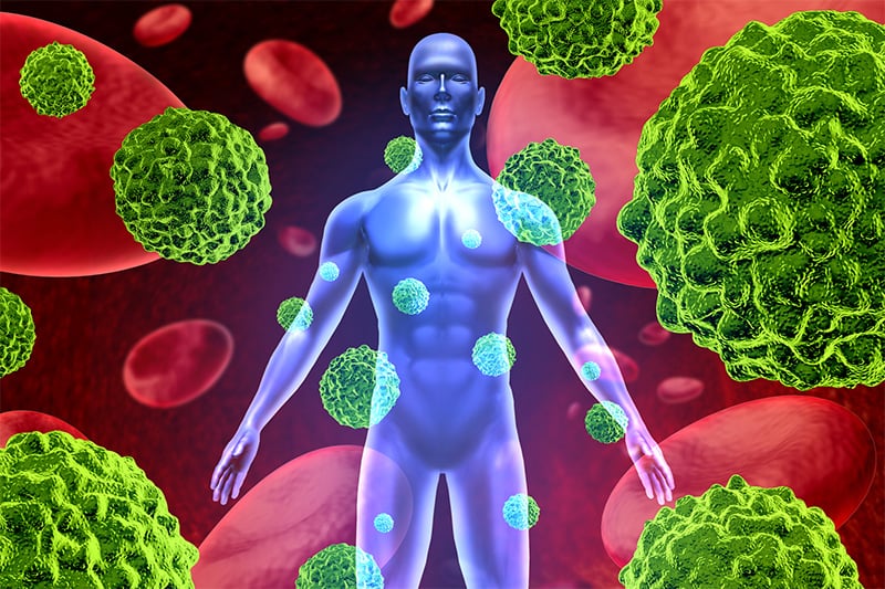 How immune system works