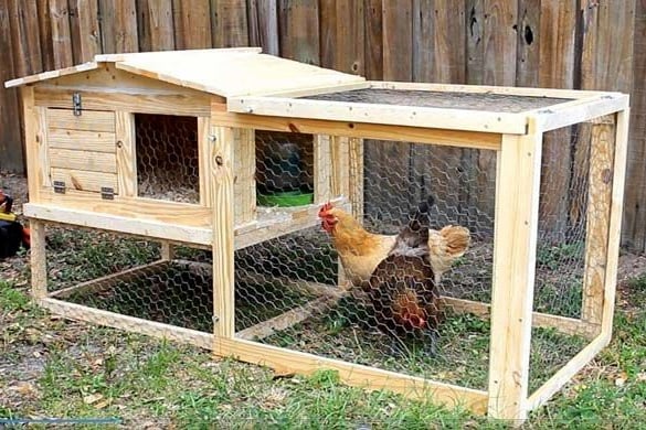 Chicken coop for backyard chickens