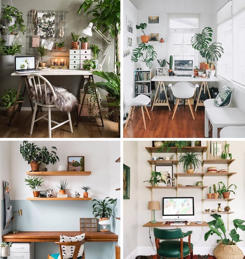Home office plants inspiration