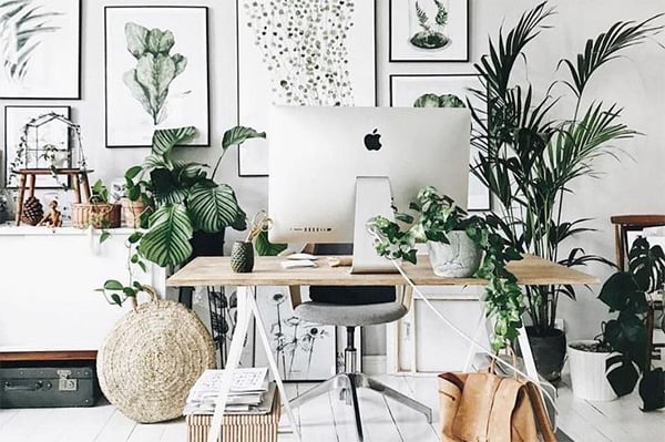 Healthy work from home office ideas