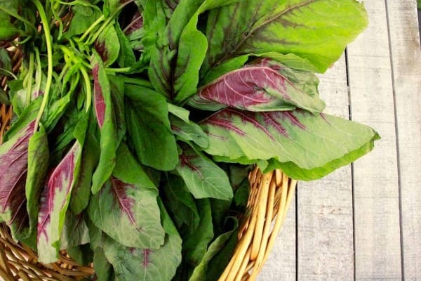 Amaranth Greens