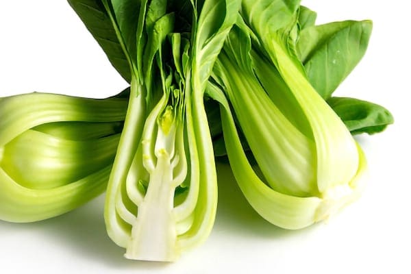 What is Bok Choy / Pak Choy / Pok choi?