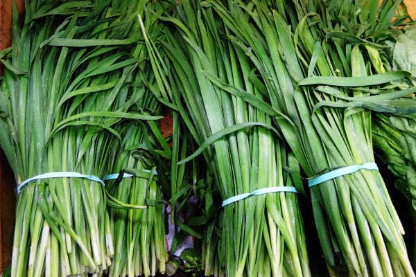 chinese-asian-chives 