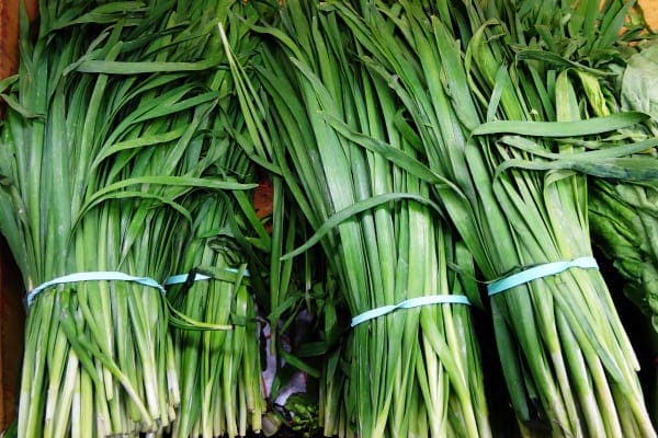 chinese-asian-chives