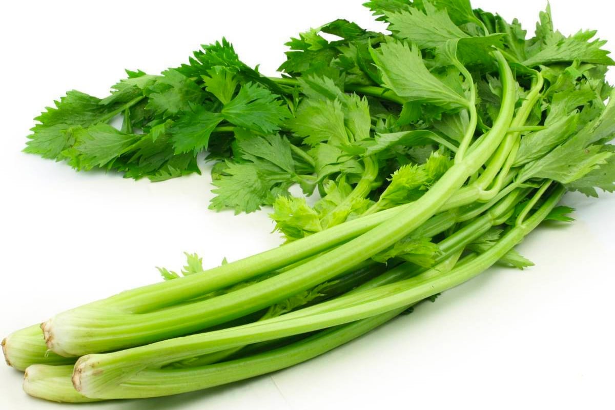 What is chinese celery?