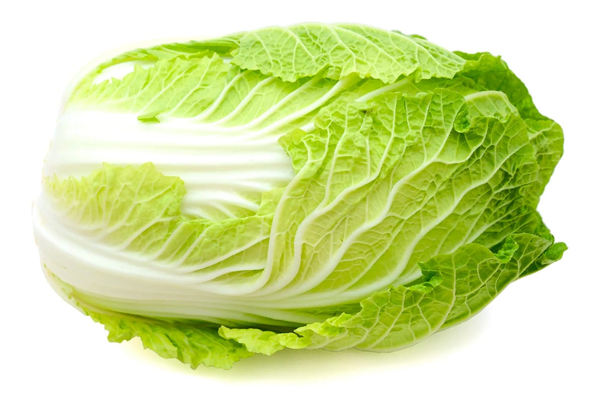 What is Chinese cabbage / Napa cabbage / Wombok ?