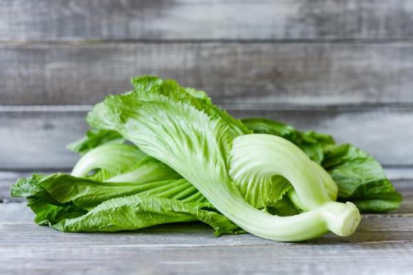 Gai Choy / Chinese Mustard / Mustard Greens