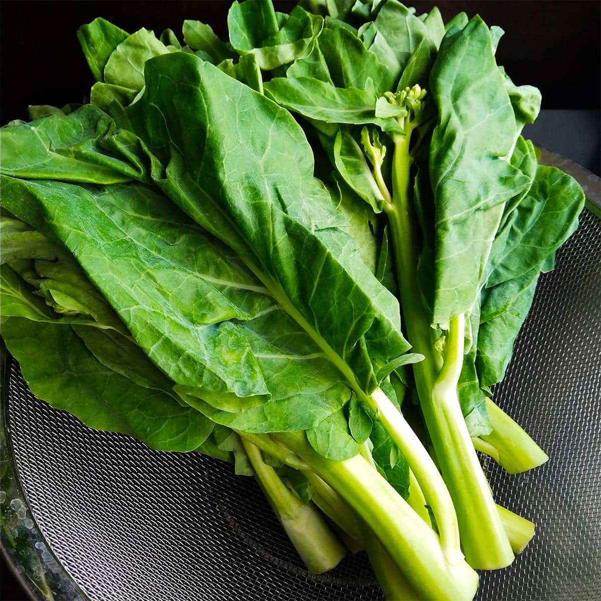 Chinese Broccoli / Gai Lan / Kai Lan / Chinese Kale