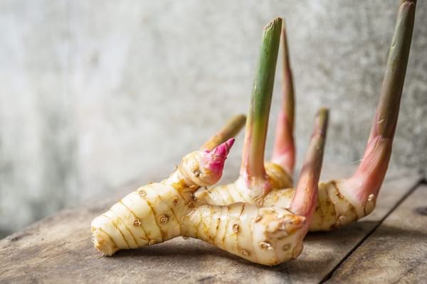 galangal 