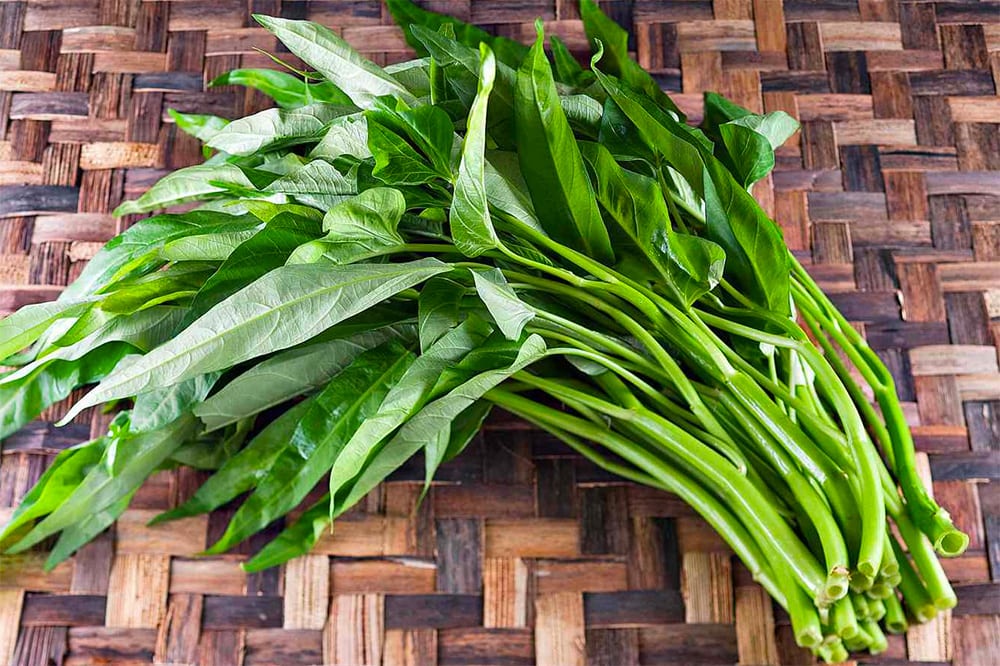 What is Chinese Spinach / Water Spinach / Ong Choy?