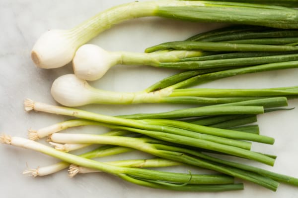 scallions-spring-onions