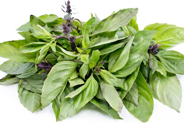 thai-basil