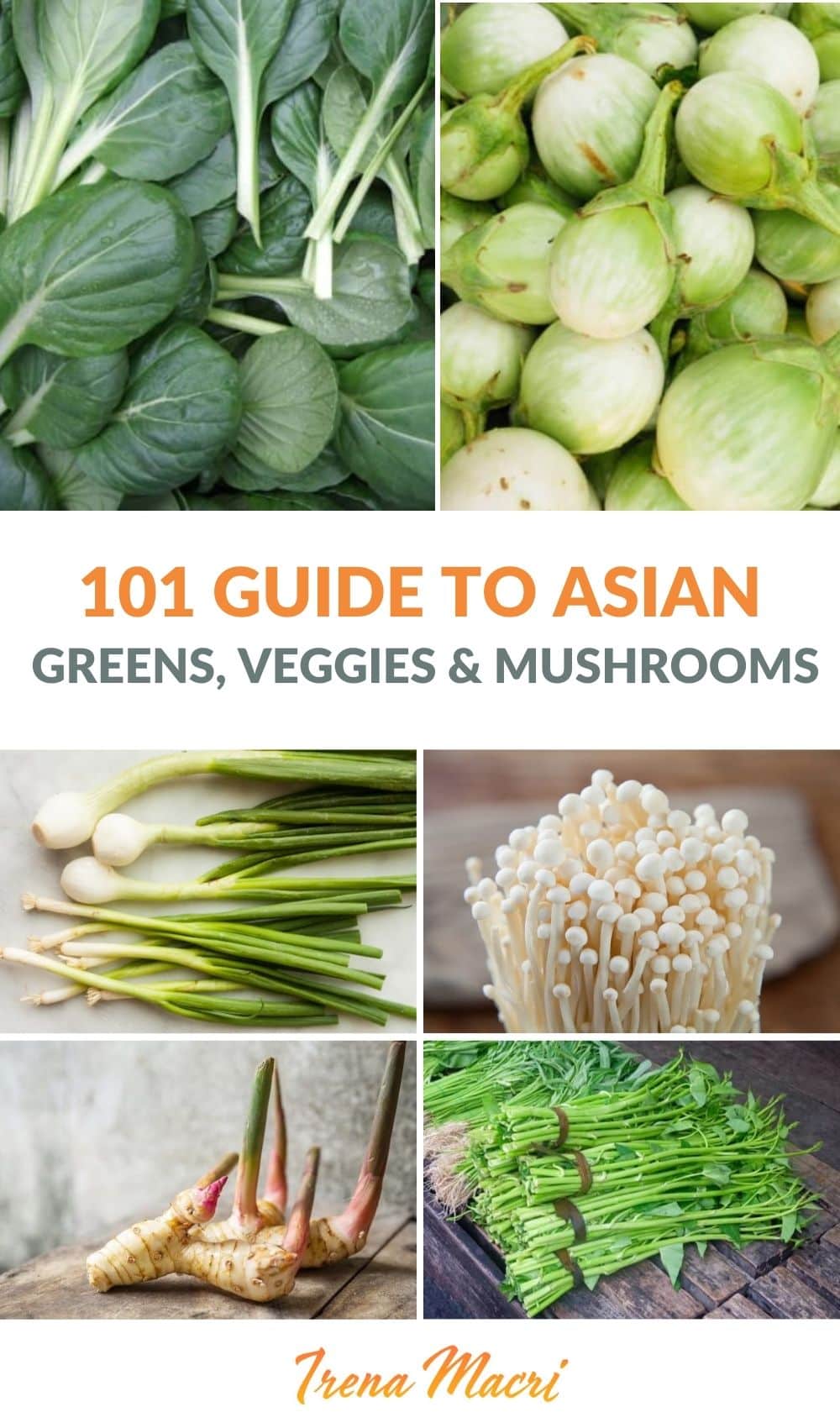 101-guide-to-asian-greens-vegetables-including-mushrooms-herbs