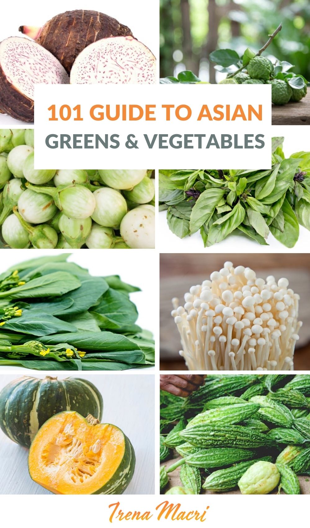 101 Guide To Asian Greens, Vegetables, Mushrooms & Herbs