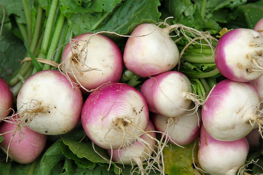 asian vegetables: turnip radish 